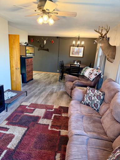 Photo for 715 1st Street E, Thief River Falls, MN 56701 - Listing #6698284 715 1st Street E, Thief River Falls, MN 56701