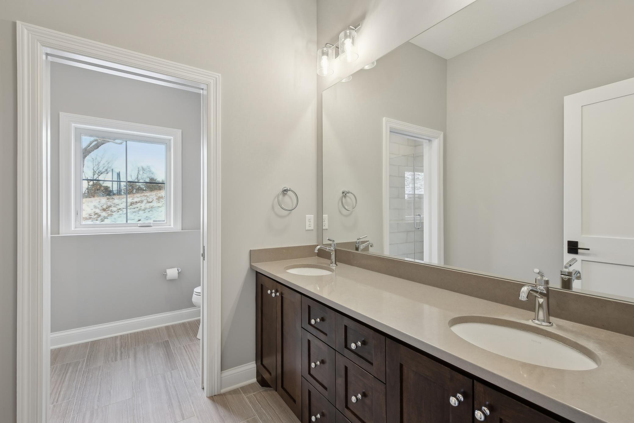 Lower level bathroom
