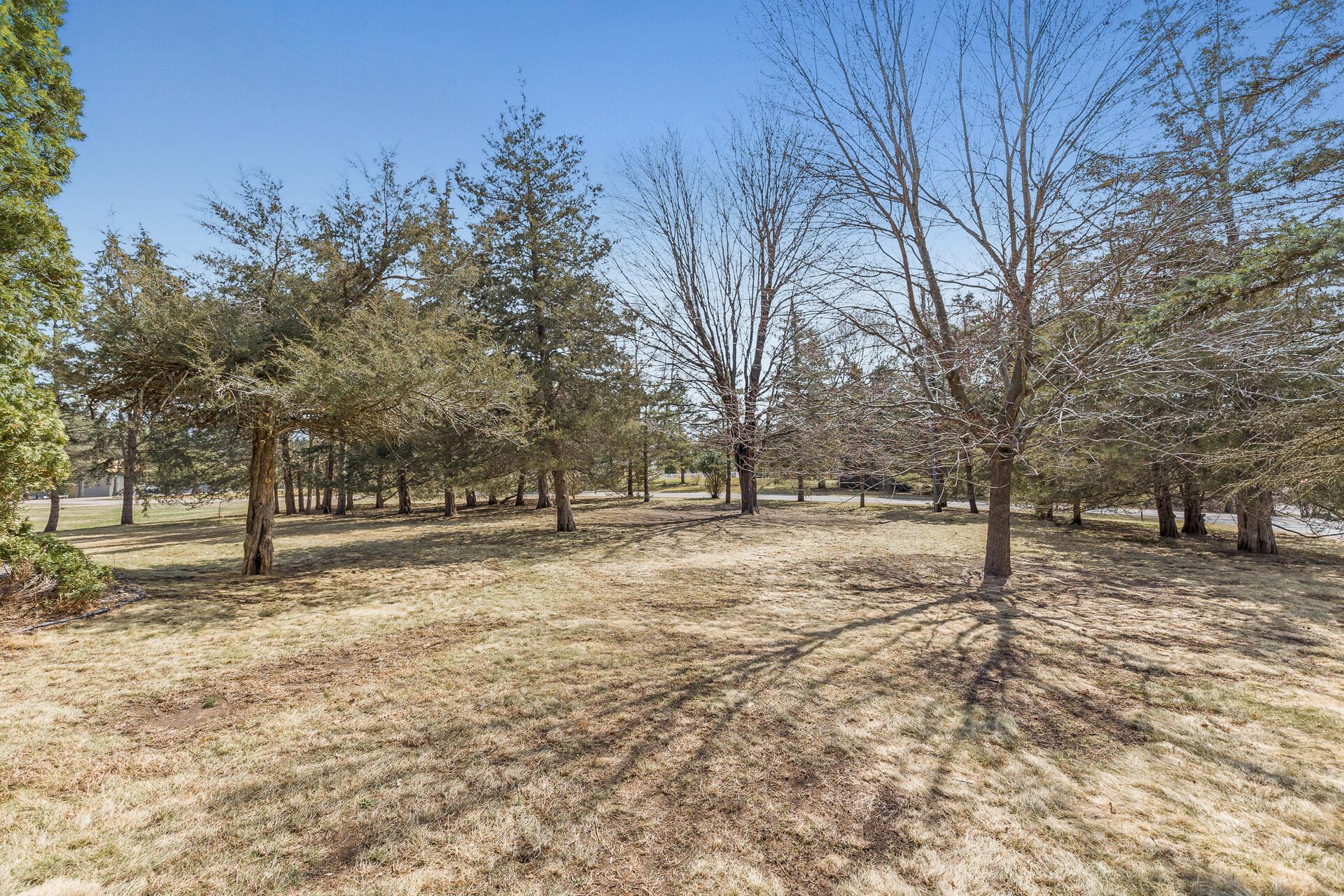 Flat, usable and tree lined for space and privacy!