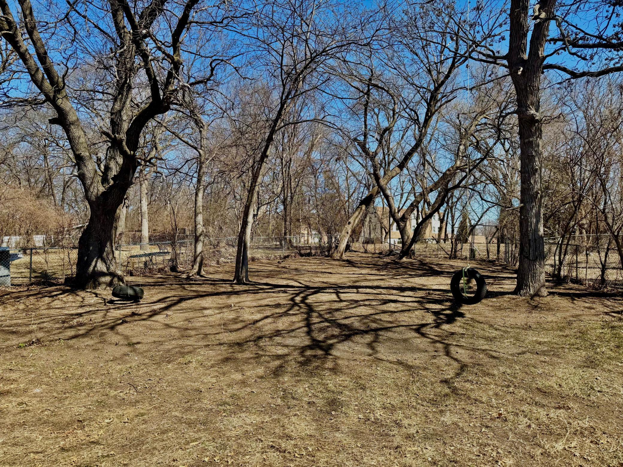 Yard.jpg