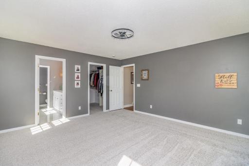 Primary bedroom with walk-in closet and ensuite