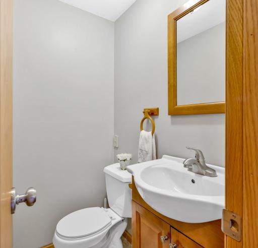 Half bathroom off lower level family room.