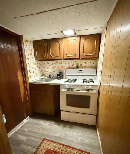 Photo for 314 Kneale Avenue S, Thief River Falls, MN 56701 - Listing #6700398 314 Kneale Avenue S, Thief River Falls, MN 56701