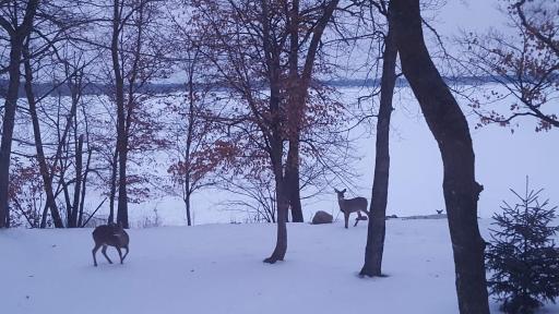 21967 County Highway 32, Detroit Lakes, MN 56578