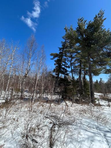 4375 Wood Ridge Drive, Beaver Bay, MN 55601