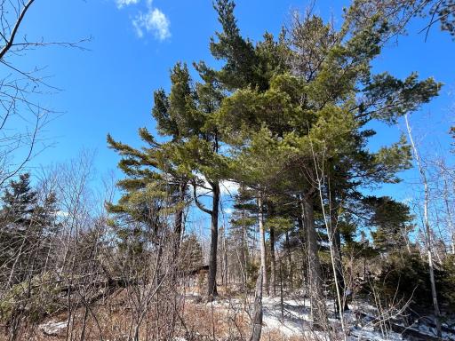 4375 Wood Ridge Drive, Beaver Bay, MN 55601