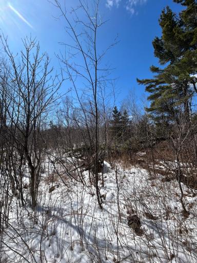 4375 Wood Ridge Drive, Beaver Bay, MN 55601