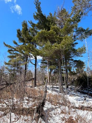 4375 Wood Ridge Drive, Beaver Bay, MN 55601