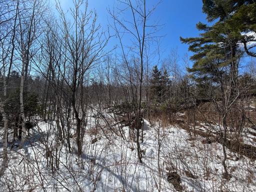 4375 Wood Ridge Drive, Beaver Bay, MN 55601