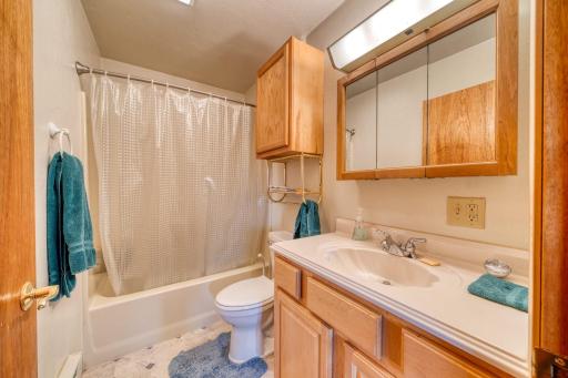 52383 Eagle Point Spur, Bigfork, MN 56628