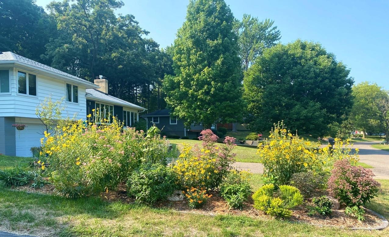 Summer shots of pollinator garden