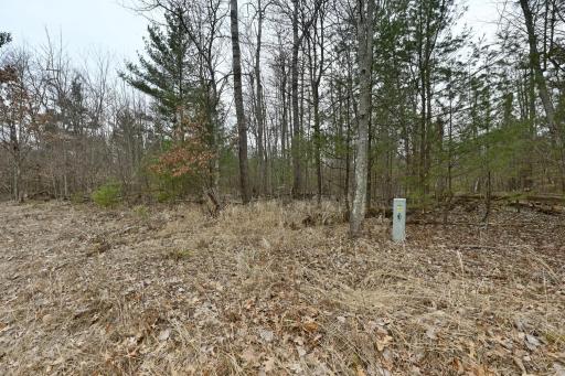Lot 2 Long Lake Road, Danbury, WI 54830