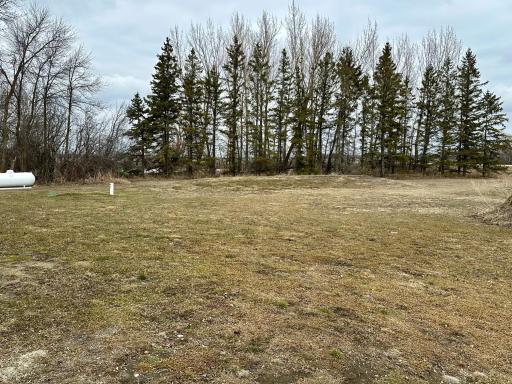 Photo for 20337 County RD 3, Badger, MN 56714 - Listing #6701287 20337 County RD 3, Badger, MN 56714