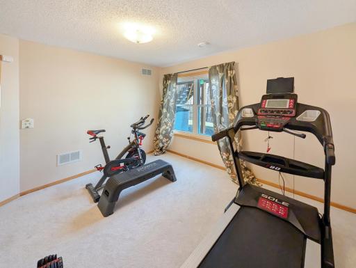 9033 Peony Lane N, Maple Grove, MN 55311