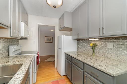 Granite countertops, new cabinets and fridge