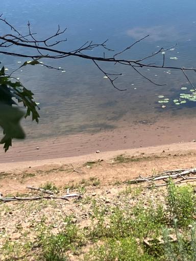 Clear Water