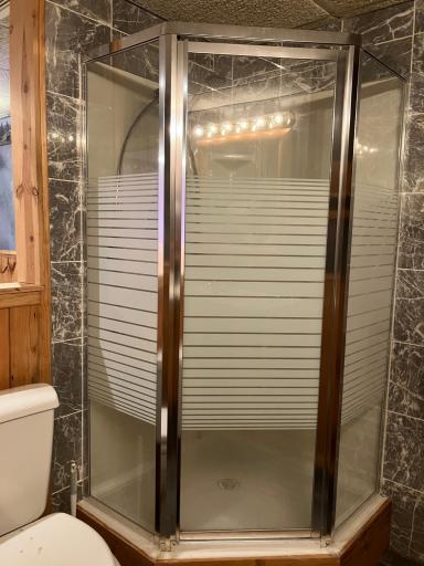 Lower Level Shower