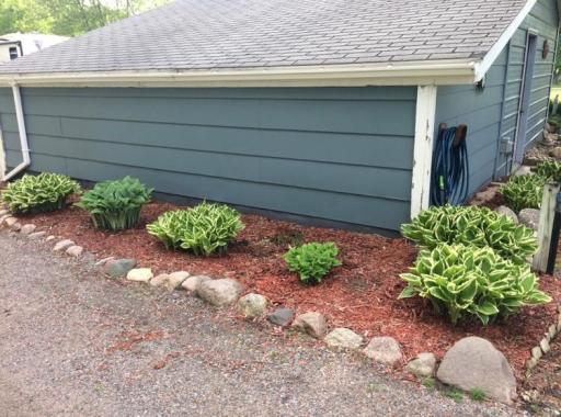 Beautiful hostas line the shop- beautiful yet low maintenance.