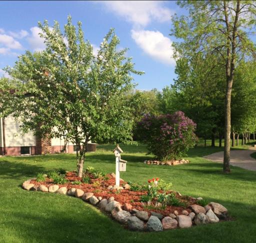 Apple tree in the front yard with landscape.