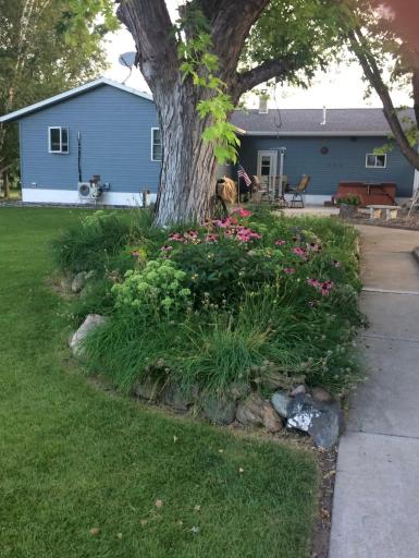 Beautiful perennials already in place for you to enjoy.