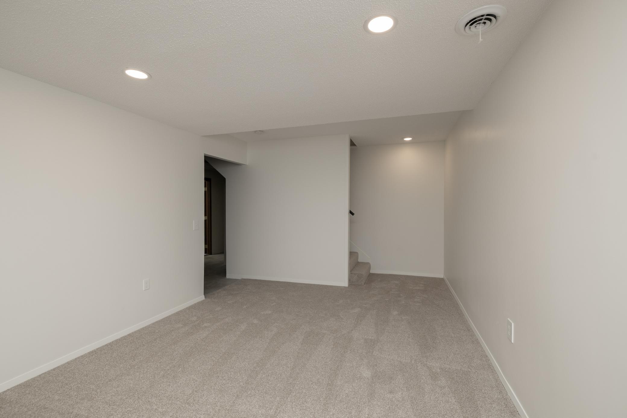 Lower level family room