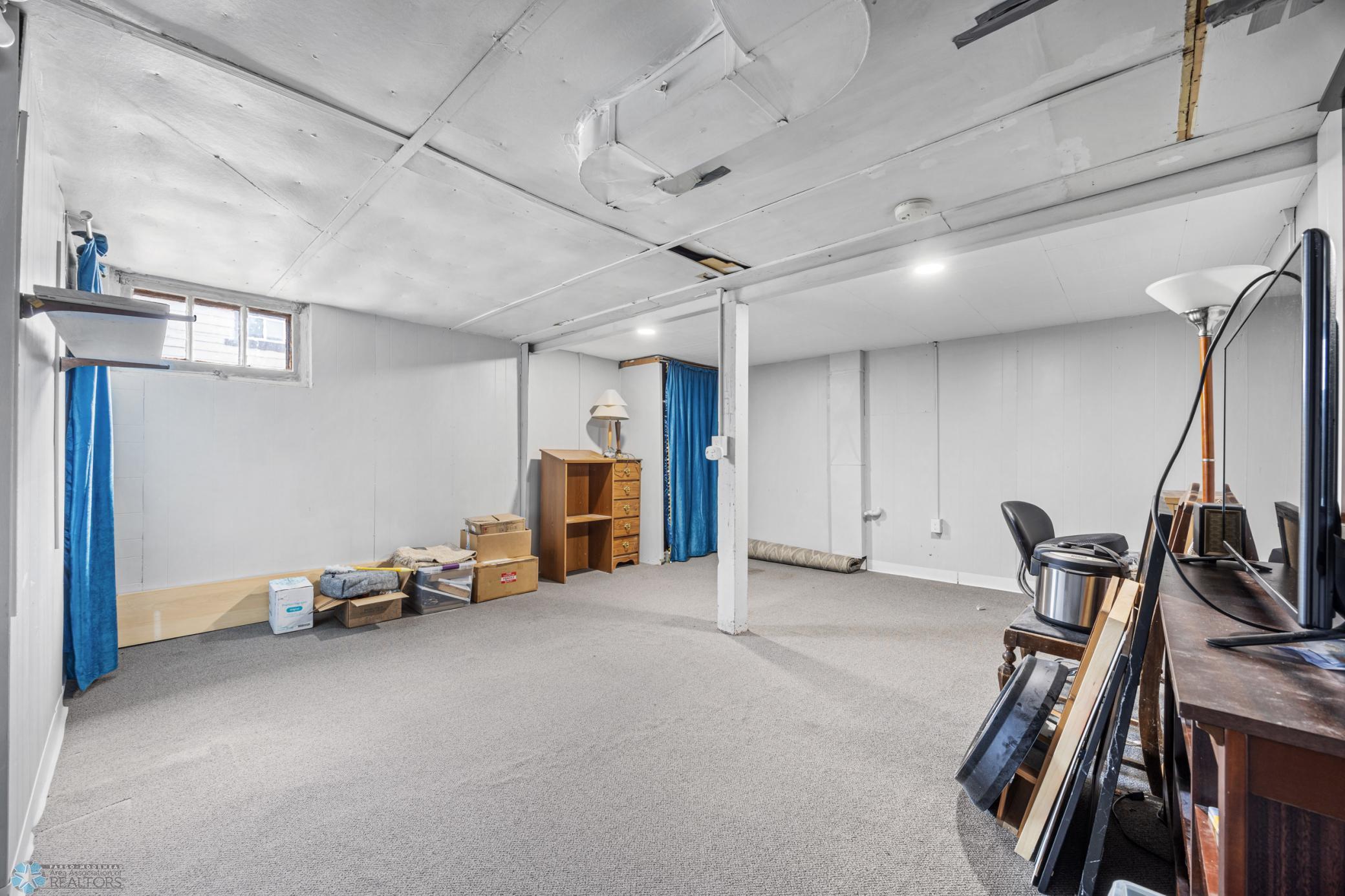 Basement Bonus Room