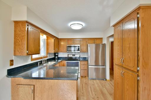 Stainless steel appliances, pantry and new silestone counters