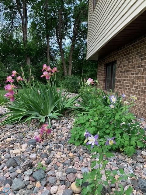 Perennials