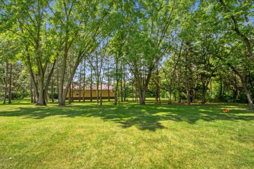 9243 Osborn Avenue NW, South Haven, MN 55382