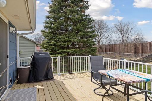 4911 108th Lane NE, Circle Pines, MN 55014