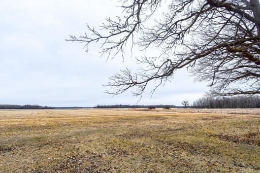 Photo for 11256 170th Avenue NE, Thief River Falls, MN 56701 - Listing #6702186 11256 170th Avenue NE, Thief River Falls, MN 56701