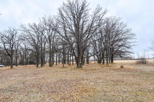 Photo for 11256 170th Avenue NE, Thief River Falls, MN 56701 - Listing #6702186 11256 170th Avenue NE, Thief River Falls, MN 56701