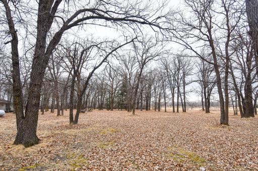 Photo for 11256 170th Avenue NE, Thief River Falls, MN 56701 - Listing #6702186 11256 170th Avenue NE, Thief River Falls, MN 56701