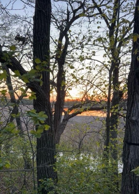 Hunting Land Photo 5.jpg