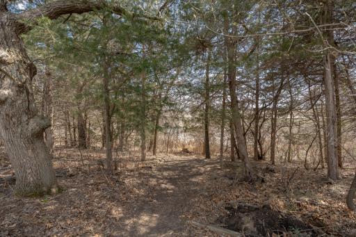 4295 Lake Ridge Drive, Big Lake, MN 55309
