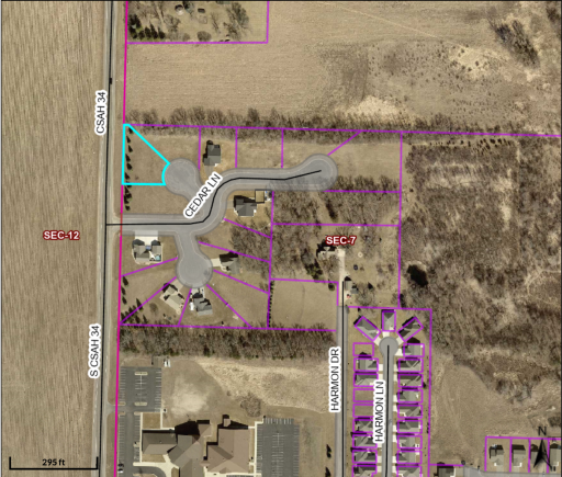 1309 Cedar Lane, Litchfield, MN 55355