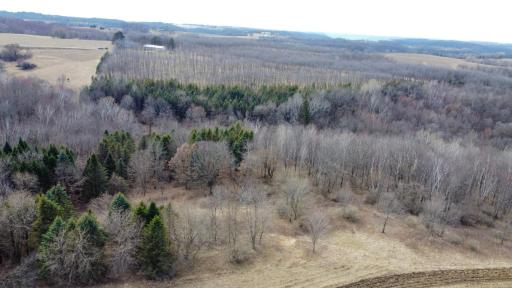 N305 Neisen Road, Coon Valley, WI 54623