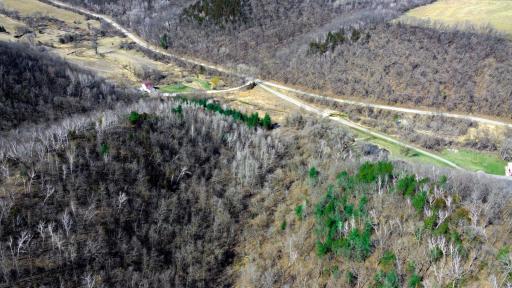 N305 Neisen Road, Coon Valley, WI 54623