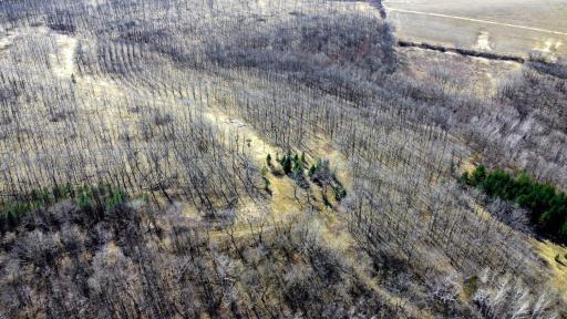 N305 Neisen Road, Coon Valley, WI 54623