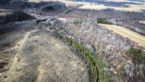 N305 Neisen Road, Coon Valley, WI 54623