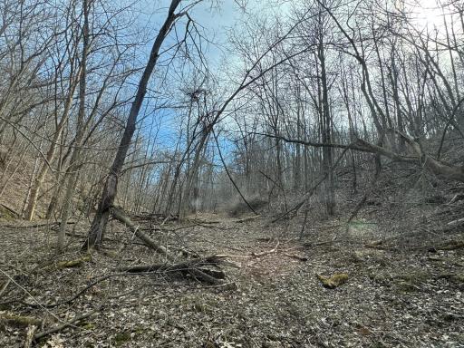 N305 Neisen Road, Coon Valley, WI 54623