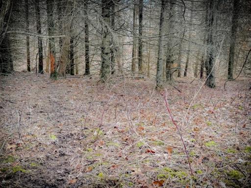 N305 Neisen Road, Coon Valley, WI 54623