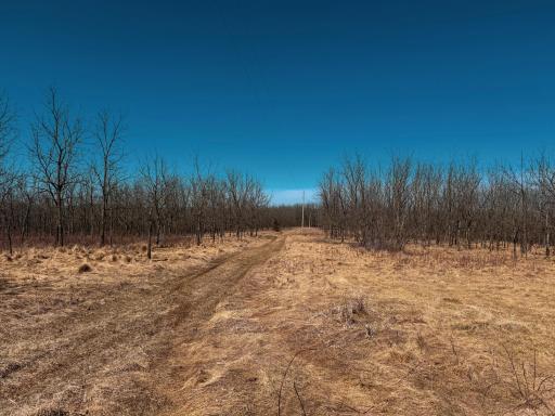 N305 Neisen Road, Coon Valley, WI 54623