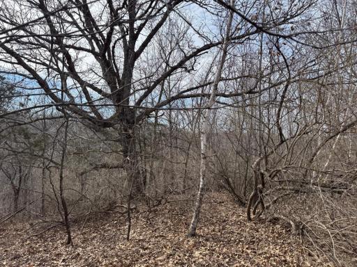 N305 Neisen Road, Coon Valley, WI 54623