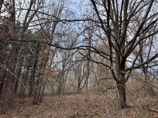 N305 Neisen Road, Coon Valley, WI 54623