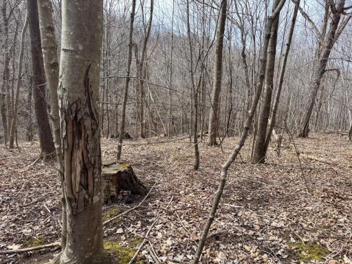 N305 Neisen Road, Coon Valley, WI 54623