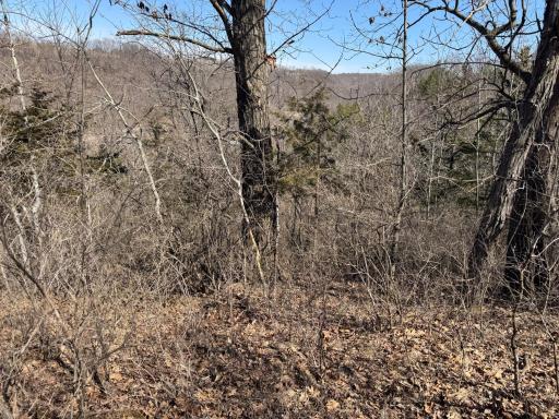 N305 Neisen Road, Coon Valley, WI 54623