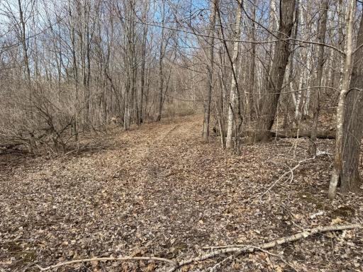 N305 Neisen Road, Coon Valley, WI 54623