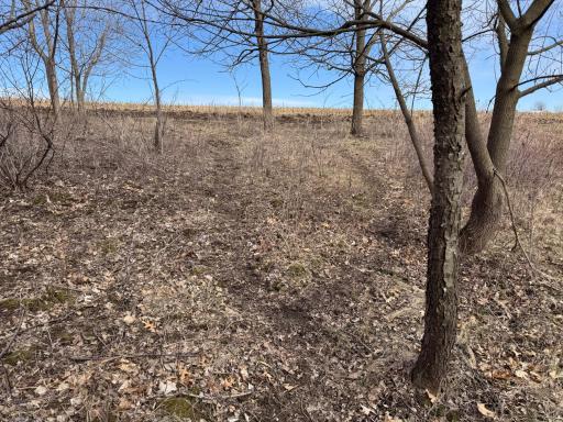 N305 Neisen Road, Coon Valley, WI 54623