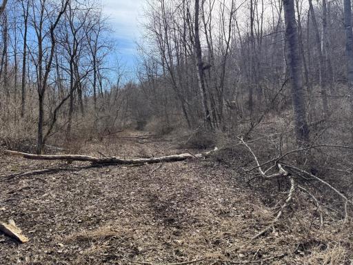 N305 Neisen Road, Coon Valley, WI 54623